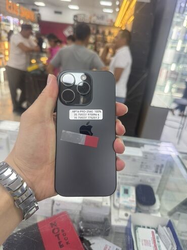 айфон 11 про мини: IPhone 16 Pro, Колдонулган