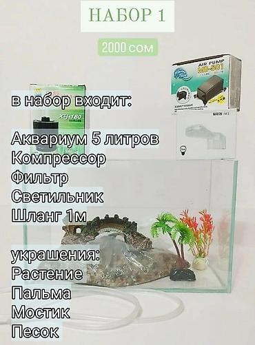 Аквариумдар: Новый аквариум в комплекте объём 5 л. В комплект входит необходимое — 2