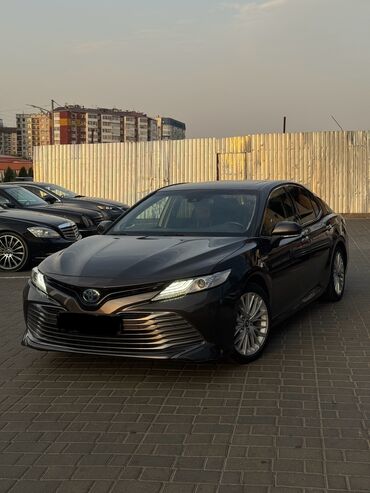 поворотник тайота гая: Toyota Camry: 2019 г., 2.5 л, Автоматтык, Гибрид, Седан