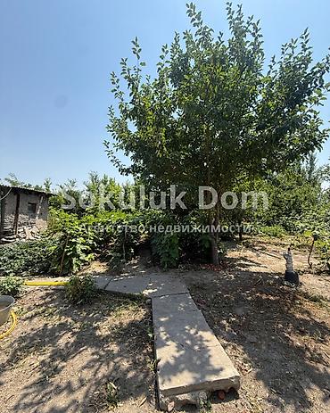the level: 🏠Продается дом в с. Сокулук 🟡 Комнаты: 2 🟡Участок: 10 соток 🟡 — 4