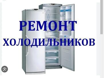 холодильник ман: Ремонт бытовых холодильников на дому. Диагностика ремонт. Гарантия