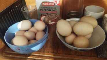 яйца бролер: Продам яйца кур и индо уток размеры большие . Они свежие все где-то