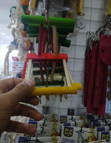 Qəfəslər: Her nov her qiymete qefesler var satisda maraqlamaq isdeyen elaqe -da lalafo.az — 14 Qəfəslər: Her nov her qiymete qefesler var satisda maraqlamaq isdeyen elaqe — 14