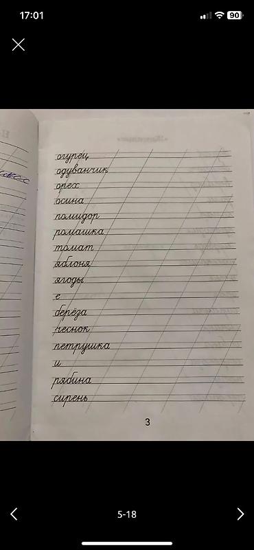 солдаты: 📍« Принц и Нищий» 250 с. 📍Хрестоматия 3-4 кл 250 с. 📍Му-Му, Ася» — 8