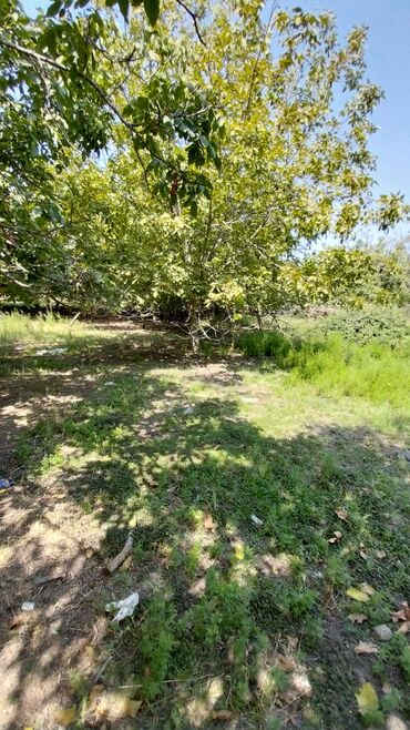 Torpaq sahələrinin satışı: 8 sot, Tikinti, Maklerlər narahat etməsin, Kupça (Çıxarış) — 7