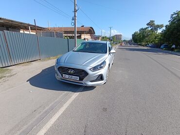 hyundai coupe запчасти: Hyundai Sonata: 2019 г., 2 л, Автомат, Газ, Седан