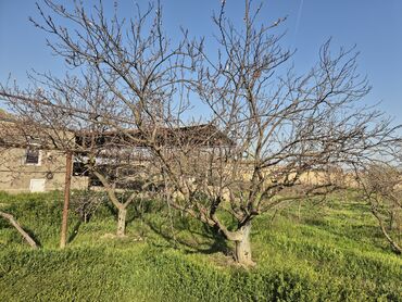 Həyət evləri və villaların satışı: 3 otaqlı, 170 kv. m, Orta təmir — 27