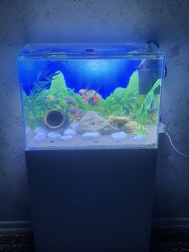 Akvariumlar: Akvarium-şkaf, Balıqlarla birlikdə, 90 l, Ödənişli çatdırılma — 5