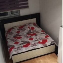 Günlük kirayə evlər: 450 kv. m, 12 otaq, Kombi, Qaz, İşıq — 10