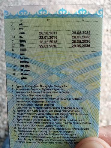 водитель кат е: Ищу Работу Водителем Категорий : В, В1, С, С1 - На Авто до 3.5 тонн — 1