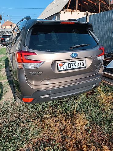 forester: Subaru Forester: 2020 г., 2.5 л, Вариатор, Бензин, Кроссовер — 6