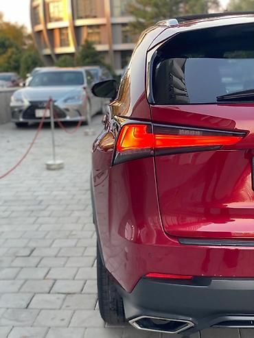 Lexus: Lexus NX: 2018 г., 2 л, Автомат, Бензин, Кроссовер — 7