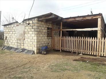 Uzunmüddətli kirayə mənzillər: Ev təsərrüfatı üçün əlverişli yerdir 25-sotda 4-otaqlı evi, cardaqlı — 12