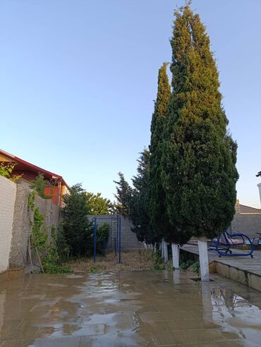 Uzunmüddətli kirayə evlər: 120 kv. m, 3 otaqlı, Artezian quyusu, Telefon, İşıq — 7