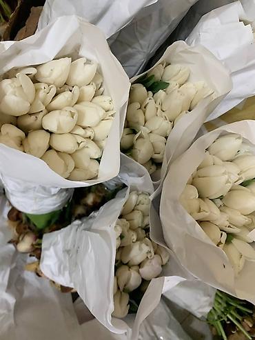 Букеты из живых цветов: В оптомв розницу — 10