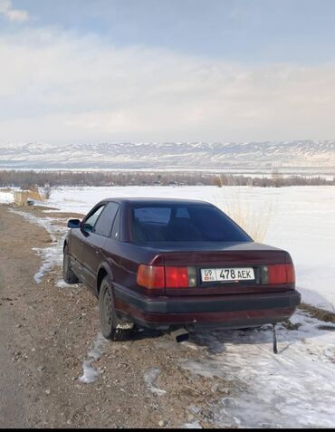 спортивный автомобиль: Audi 100: 1992 г., 2.3 л, Механика, Бензин, Седан