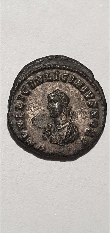 mona lamirani komplet: ☆ Licinius II “Small Portrait & Camp Gate” Heraclea 318-320 AD