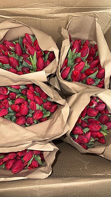 Букеты из живых цветов: 🌷🌷🌷*Дорогие покупатели!*🌷🌷🌷 • Кто хочет порадовать и поздравить своих — 10