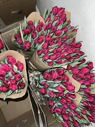 Букеты из живых цветов: Тюльпаны - Сорт: нежно-розовые тюльпаны с мягкой желтой каймой на — 23