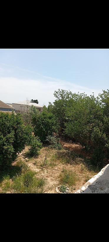 Bağ evlərinin satışı: Bakı, Türkan qəs., 140 kv. m, 3 otaqlı, Hovuzlu, Qaz, İşıq, Su — 6