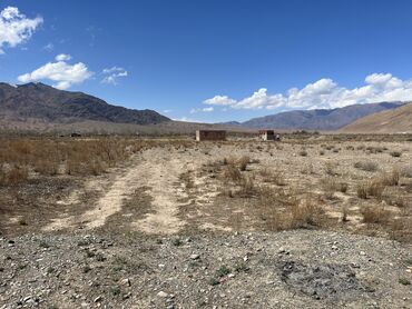 Продажа участков: 600 соток, Для сельского хозяйства, Красная книга, Тех паспорт, Договор купли-продажи — 20