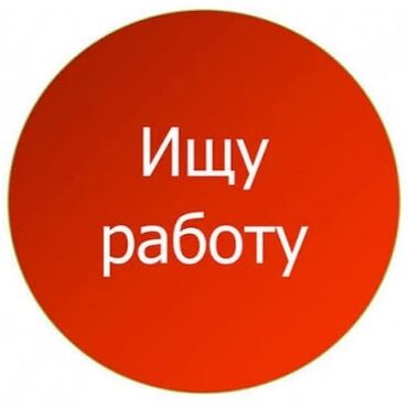 я ищу работу ош: Ищу работу