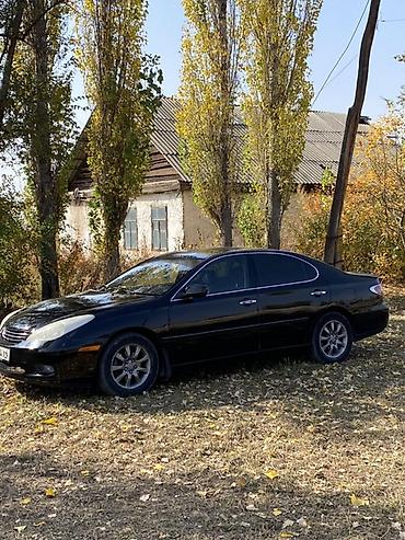 Lexus: Lexus ES: 2003 г., 3 л, Автомат, Бензин, Седан — 6