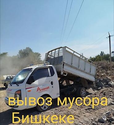 Үй жаныбарлары: Портер такси вывоз бытовой мусор вывоз строй мусор вывоз швейный мусор — 1