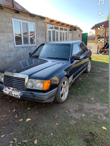 мерседес дельфин пасажир: Mercedes-Benz W124: 1986 г., 2.3 л, Механика, Бензин, Седан