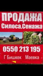 дом кролика: Сатам | Бука (эркек), Уй (ургаачы), Музоо | Аулиекөл, Бельгия, Герефорд | Сүт алуу үчүн, Көбөйтүү үчүн, Союуга