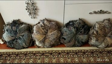 dekor saatler in Azərbaycan | VAZALAR: Dekor poduskalar materiali nabuk defekt yoxdu her biri 10azn