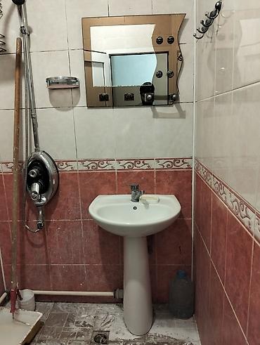 güzgü hamam: Tulpan 
güzgü ilə birlikde — 1