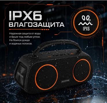 dji mic 1: Портативная колонка караоке система с двумя микрофонами Eccotae TK-118 — 3