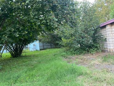 Bağ evlərinin satışı: Bakı, 1200 kv. m, 5 otaqlı, Hovuzsuz, İnternet, Artezian quyusu, Su -da lalafo.az — 23 Bağ evlərinin satışı: Bakı, 1200 kv. m, 5 otaqlı, Hovuzsuz, İnternet, Artezian quyusu, Su — 23