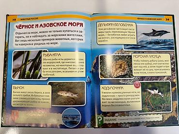 дискусы: Энциклопедия «Животные России» - Яркая познавательная книга в — 4
