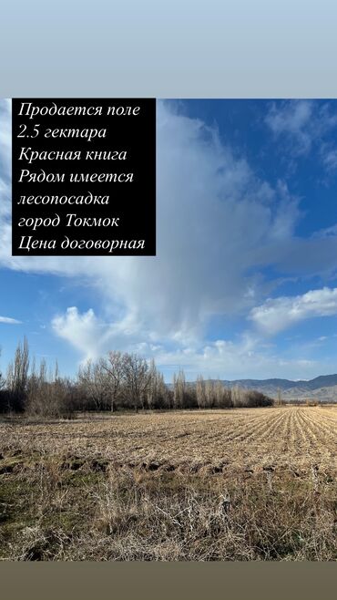 продаю токмок: 250 соток, Для сельского хозяйства, Красная книга