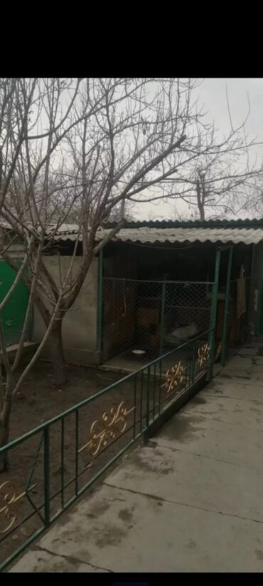 совхоз ала тоо дом: 57 м², 3 комнаты, Парковка, Забор, огорожен