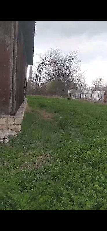 Həyət evləri və villaların satışı: Ev Beyleqan rayonu ölen qala qesebesinde yerlereşir 50 sot heyati var — 6