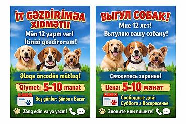 Digər xidmətlər: Salam Mən sizin itlərivizi gəzdirə bilərəm itlərivzi ancag şənbə və — 1