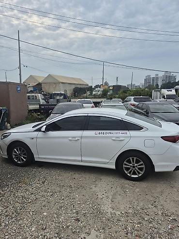номер кыргызстан машина: Hyundai Sonata: 2019 г., 2 л, Автомат, Газ, Седан — 2