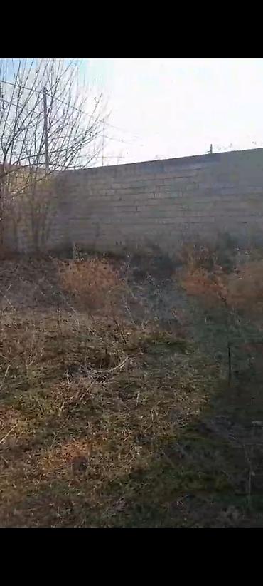 Torpaq sahələrinin satışı: 6 sot, Kupça (Çıxarış) — 9