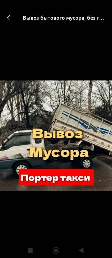 Другие животные: Вывоз мусора вывоз мусора Вывоз мусора вывоз мусора Вывоз мусора вывоз