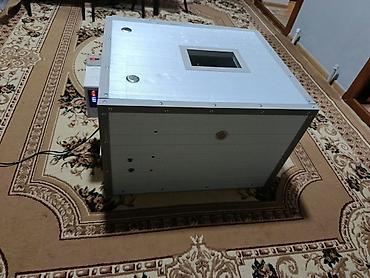 c 230 kompressor: İnkubator Servis – sağlam cücələr üçün etibarlı xidmət Təklif olunan — 3