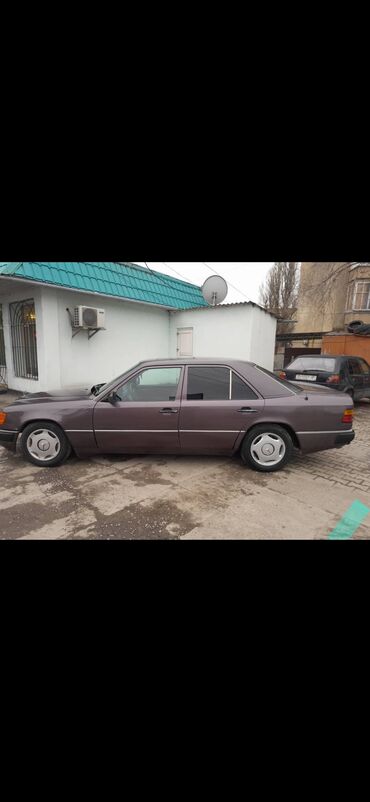 Mercedes-Benz: Mercedes-Benz W124: 1994 г., 2.3 л, Механика, Газ