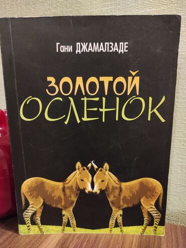 подарок учителю на день рождения: Совсем новая книга. Подойдёт и на подарок