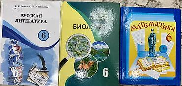 Математика: Подборка школьных учебников и рабочих тетрадей : Есть книги носили — 5