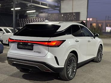 erl grup: Lexus RX: 2024 г., Автомат, Кроссовер — 7