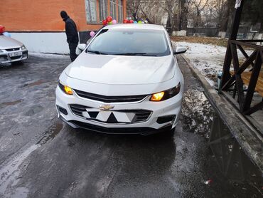 машина бугати: Chevrolet Malibu: 2017 г., 2 л, Автомат, Бензин, Седан