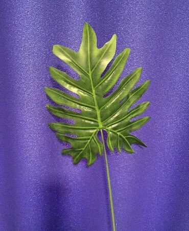 Канцтовары: Цветок - искусственный лист Филодентрон для флористики, высота