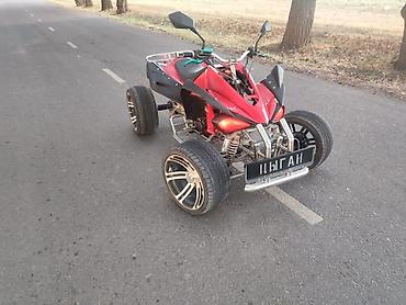 Квадроциклы: Квадроцикл Бензин, 250 куб. см, Взрослый at lalafo.kg — 11 Квадроциклы: Квадроцикл Бензин, 250 куб. см, Взрослый — 11